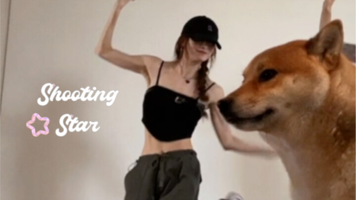 The little Chai Tai cool girl who will dance with you! 🐕sʜᴏᴏᴛɪɴɢ sᴛᴀʀ
