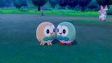 (Pokémon Sword and Shield) The relationship is not harmonious but the synchronization rate is super 