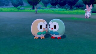 (Pokémon Sword and Shield) The relationship is not harmonious but the synchronization rate is super 