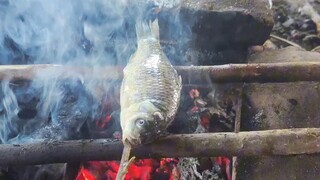Resep Utama Doomsday Wasteland: Ikan Bakar