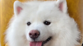 Give you a little cutie!