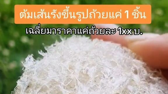 รังนก ร้านไทยอรุณ (ขายปลีก ขายส่ง )