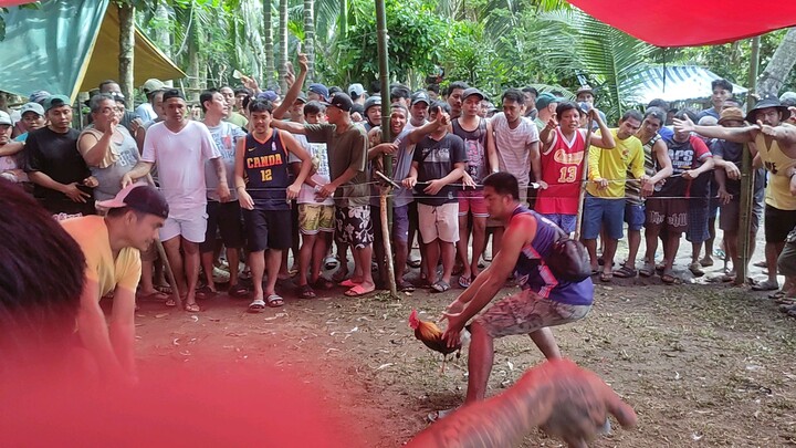 (win) Sarab vs binabae