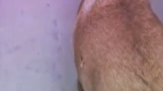 你俩谁养活谁啊