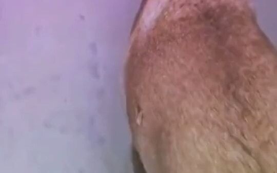 你俩谁养活谁啊