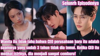 Wanita itu tidak tahu bahwa CEO perusahaan baru itu adalah suaminya yang sudah 3 tahun tidak bertemu
