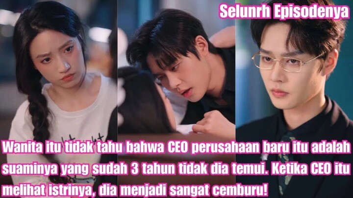 Wanita itu tidak tahu bahwa CEO perusahaan baru itu adalah suaminya yang sudah 3 tahun tidak bertemu