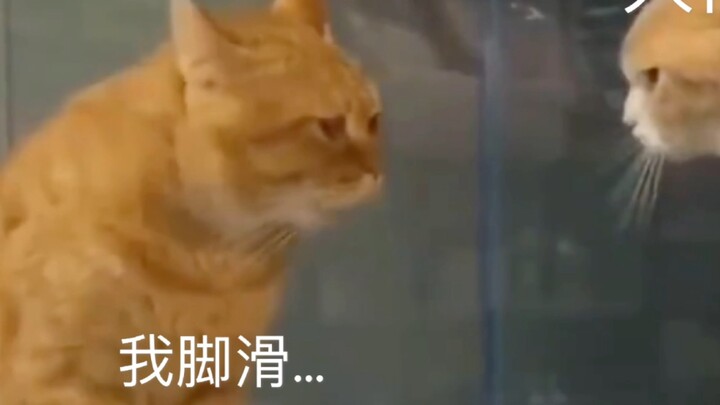 [Sky: Children of the Light｜Funny] The current situation of Dusk Land and Big Brother Burning Big Fl