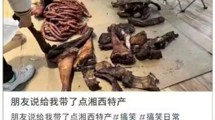 Hình ảnh mạng hài hước