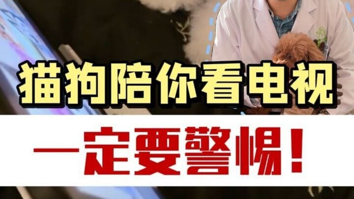 TV to keep cats and dogs entertained during the holidays—set it up and free your hands!