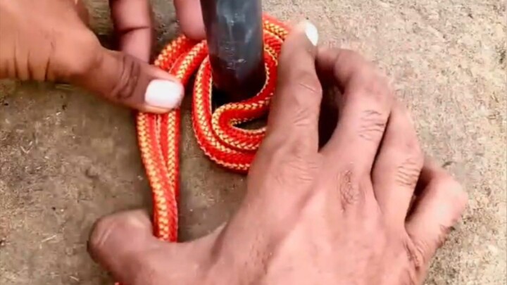 genius trick in life