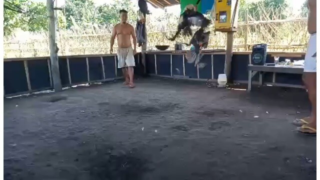 Sunday Spar 👌🏻