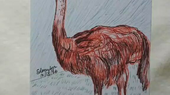 Inktober 2026 Day 18, Flightless