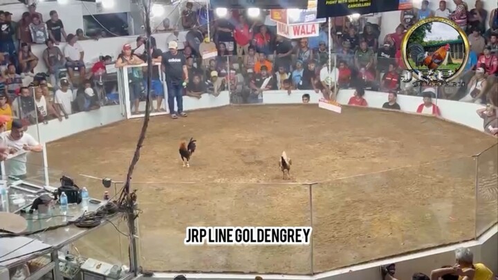 JRP Goldengrey Line! WL at Bulacan.