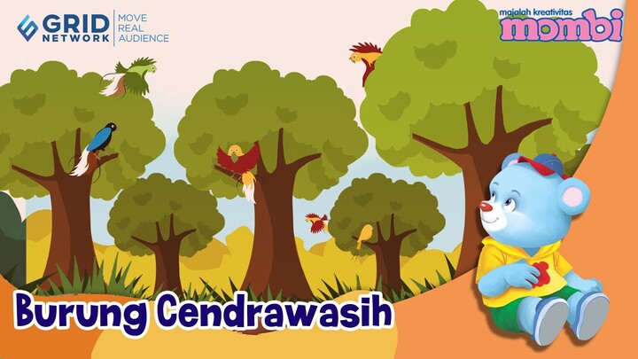 Belajar dan Mengenal Hewan - Burung Cendrawasih