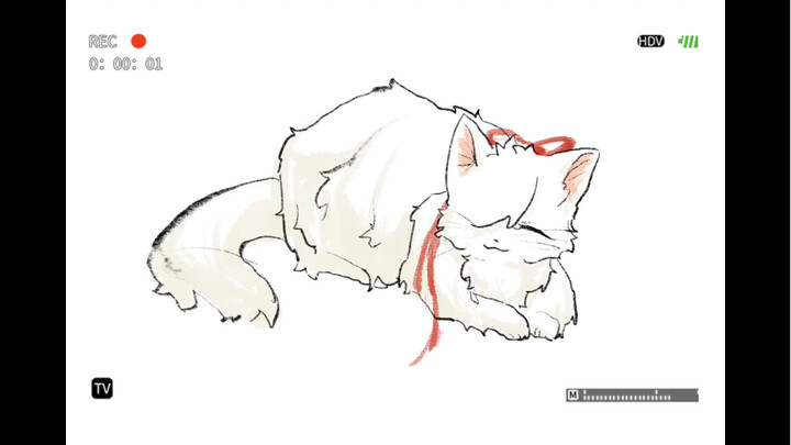 Jingyuan Cat Temperament Test