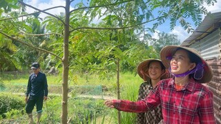 Lần Đầu Thưởng Thức Bạch Tuộc Nhúng Giấm Chua Ngọt Siêu Ngon | NĐMT#286