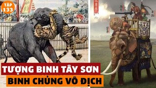 Giải Mã Sức Mạnh Khủng Khiếp Của Tượng Binh Tây Sơn - Binh Chủng Vô Địch | Đàm Đạo Lịch Sử | #133