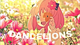 Spy x family [Dandelions] [AMV edit]