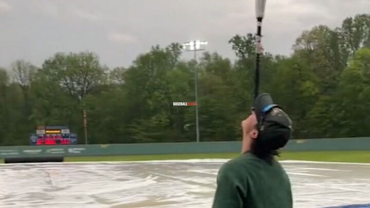 Dude, you were a seal in your past life!