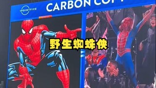 【不正经棒球】当蜘蛛侠来到MLB比赛现场被发现后be like...