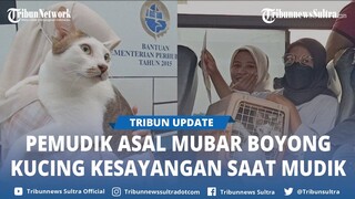 Momen Penumpang Bus Damri asal Muna Barat Sulawesi Tenggara Boyong Kucing Kesayangan saat Mudik