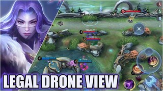 LEGAL DRONE VIEW FOR EASIER MAP AWARENESS | LUO YI