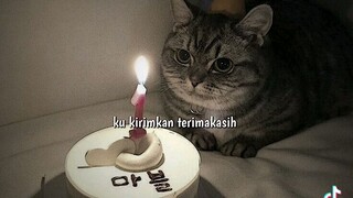 lagu ultah monokrom