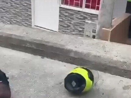 Anjing ganas itu menyerang seseorang dan ingin melawannya, tetapi ia dikalahkan. Ia mengeluarkan equ
