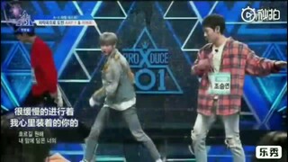 【UNIQ 舞蹈向】 是否有那么一瞬间你看着分开后的他们 总有一种五只在一起时似曾相识的感觉?