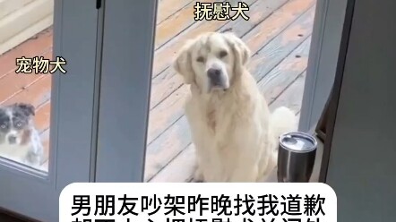 Anjing Penenang: Jangan terus-terusan strong di situ!