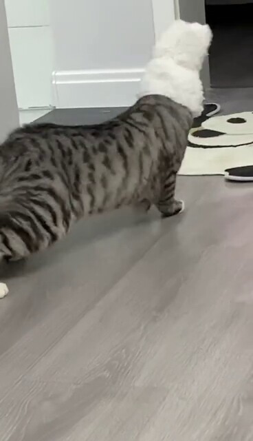 Nhìn cái phong thái này chắc là đi hẹn hò rồi.