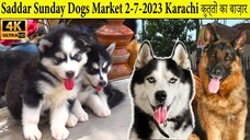 Dogs Market 2-7-2023 Karachi _ German Shepherd Labrador Dogs American Pit Bull T