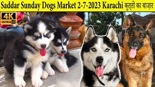 Dogs Market 2-7-2023 Karachi _ German Shepherd Labrador Dogs American Pit Bull T