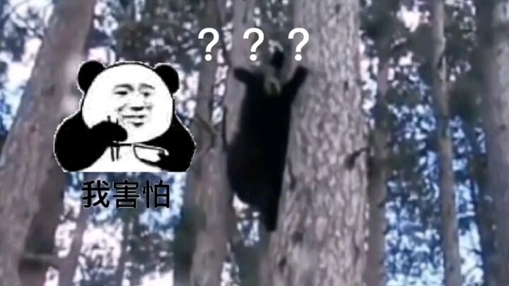 Trước khi xem thì không nghĩ là hài đến thế