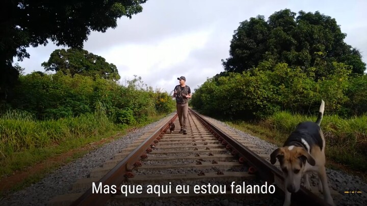 (APP)Área de preservação permanente
