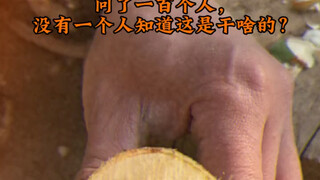 80后能玩一整天的游戏