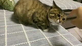 再碰我，老子就抓死你