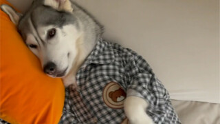 Perbedaan selebriti pria saat di rumah dan di luar