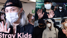 StrayKids 结束日本音中行程,金浦机场入境 | 240701