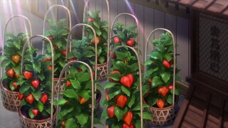 World Dai Star - tập 8 vietsub