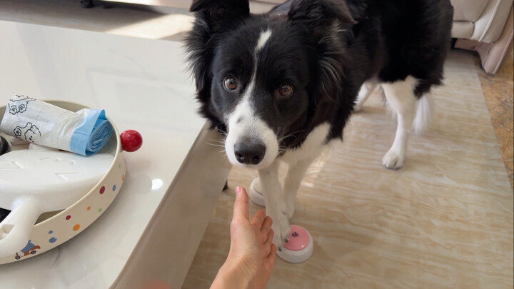 Hari ini adalah upacara sebelum makan yang ramah