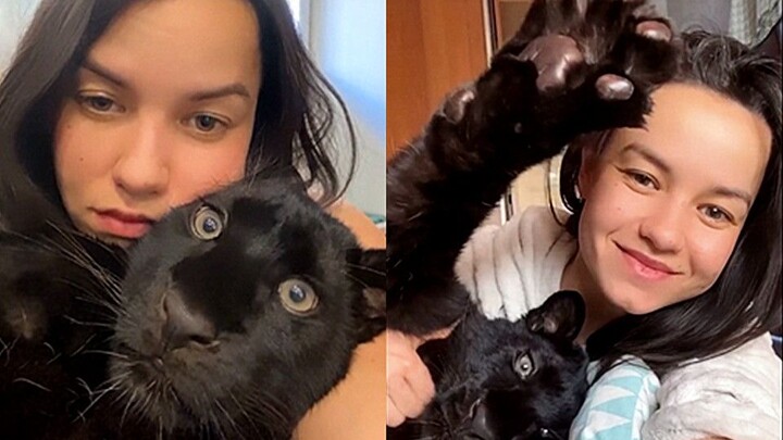You can’t even imagine how gentle a domestic black panther can be.
