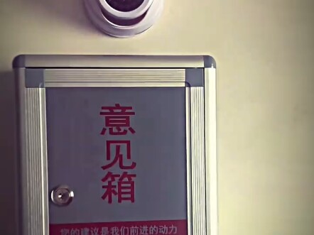 “School: No objections allowed”