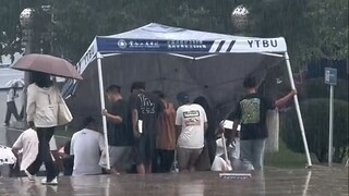 Bagaimana mungkin seseorang bisa secerdas ini!