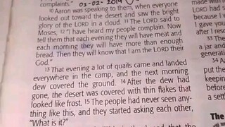 Daily Verse.                  Exodus 16:10-16