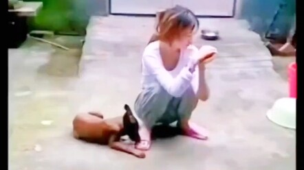 ไม่อยากเป็นหมาเลียเท้าอีกต่อไปแล้ว