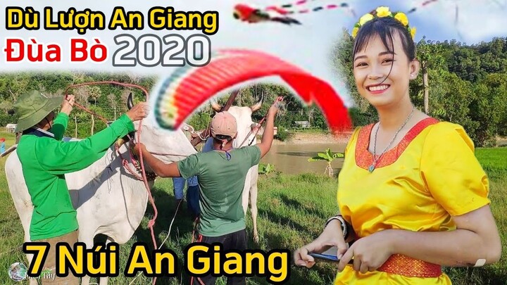 Đua bò 7 núi và Dù lượn An Giang 2020 : Toàn cảnh nhộn nhịp trước giờ đua