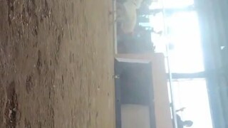 BMJ White 3x winner