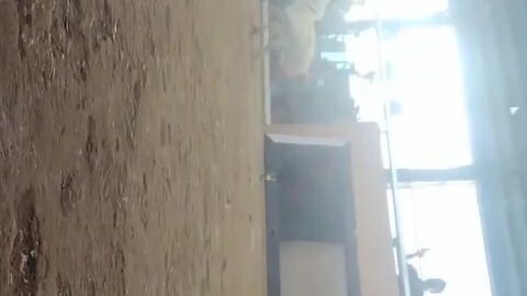 BMJ White 3x winner